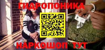 крисы Пыть-Ях