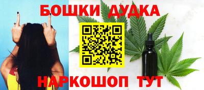 крисы Пыть-Ях