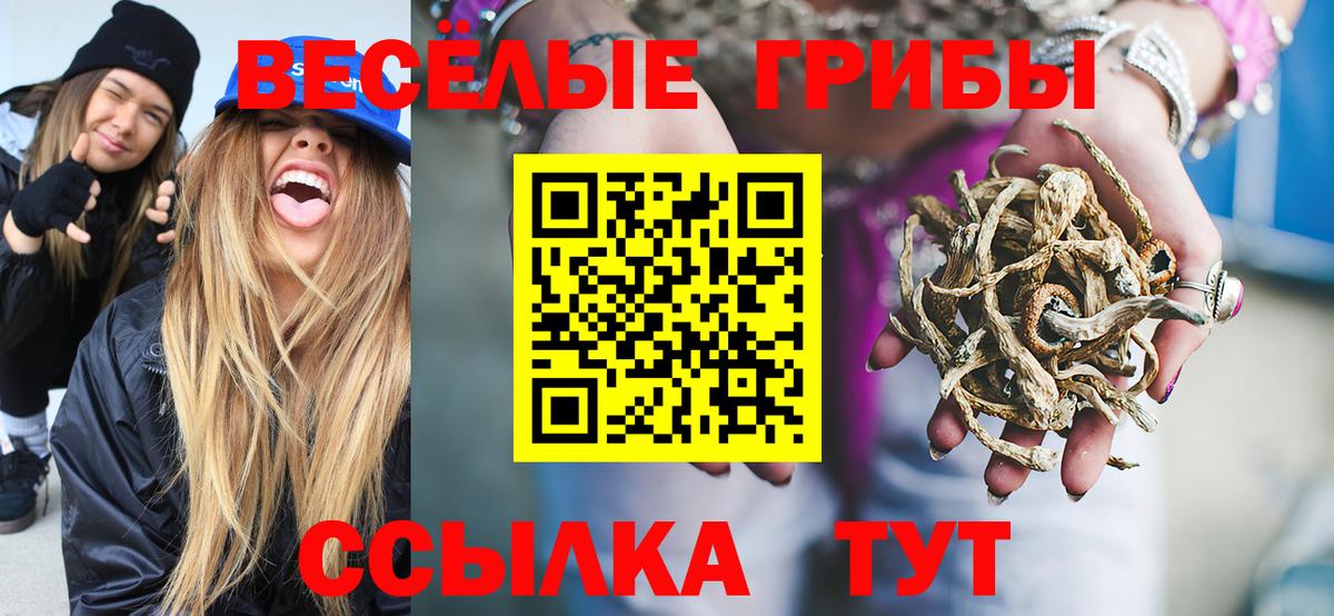 Псилоцибиновые грибы MAGIC MUSHROOMS Павловский Посад