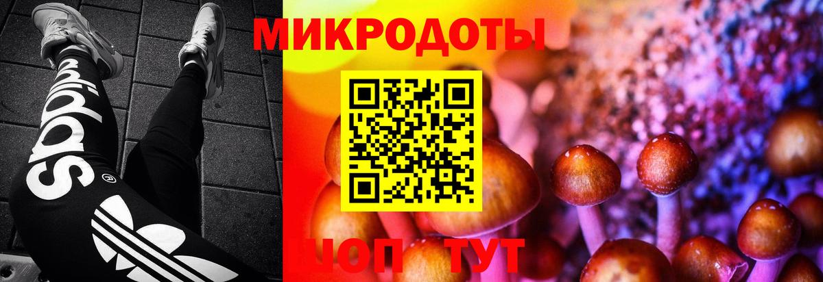 Псилоцибиновые грибы Magic Shrooms  Вход с VPN  Павловский Посад  Галлюциногенные грибы Cubensis 